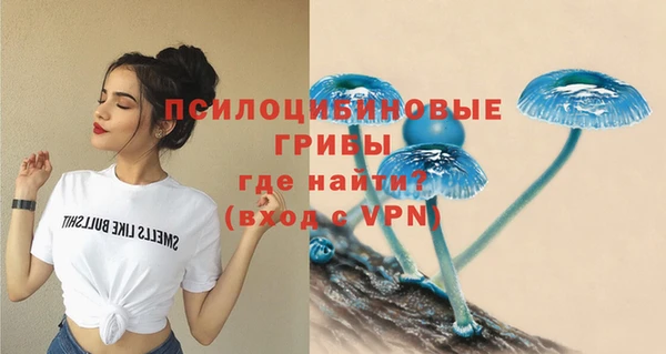 ГАЛЛЮЦИНОГЕННЫЕ ГРИБЫ Киреевск