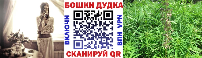 Конопля план  Купить закладки  Мезень 